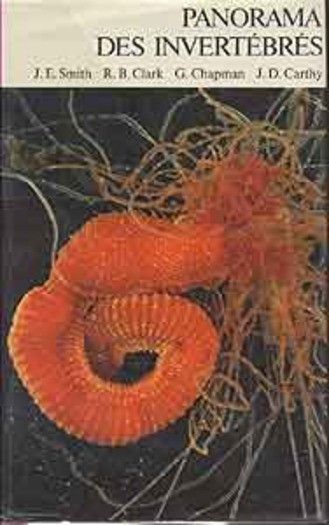 Panorama des invertébrés