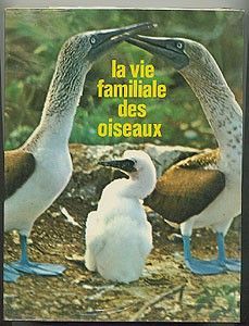 La vie familiale des oiseaux