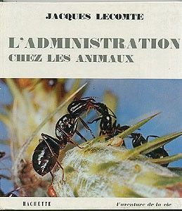L'administration chez les animaux