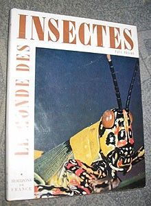 Le monde des insectes