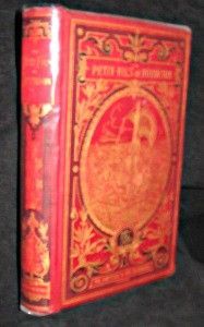 Un petit-fils de Robinson