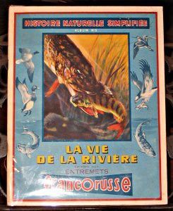 La Vie de la rivière