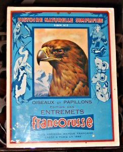 Oiseaux et papillons