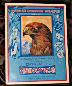 Oiseaux et papillons