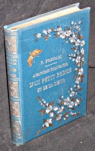 Aventures émouvantes d'un petit prince et de sa soeur