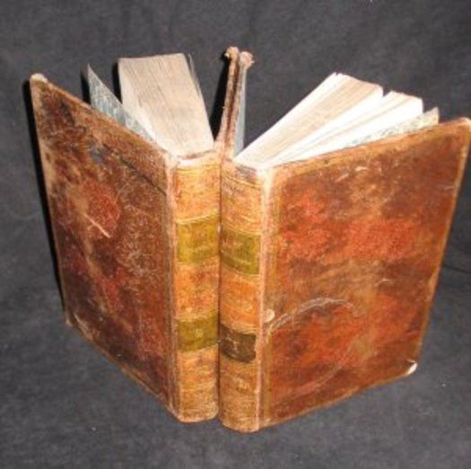 Les Népenthès, contes, nouvelles et critiques