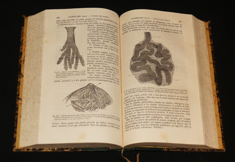 Nouveau dictionnaire de médecine et de chirurgie pratiques illustré de figures intercalées dans le texte (40 volumes)