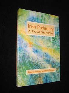 Irish prehistory: a social perspective