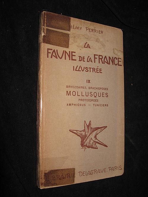 La Faune de la France illustrée, IX : Bryozoaires, brachiopodes, mollusques, protocordés, amphioxus - tuniciers