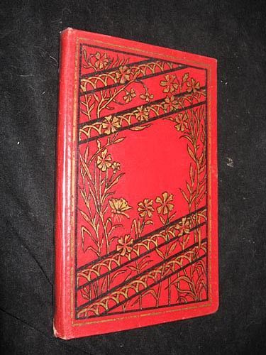 Histoire d'une paire de bottines