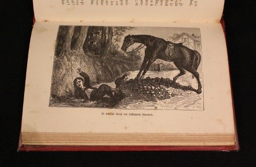 Nos petits camarades (Bibliothèque rose illustrée)