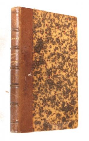 La roche aux mouettes