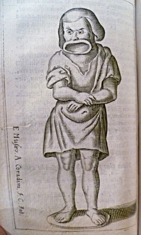 Petrus Ciacconius Toletanus de Triclinio, sive de modo convivandi apud priscos romanos &~ de convivorum appartu, accedit fulvi ursini