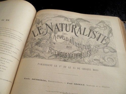 Le Naturaliste 1893 et 1894
