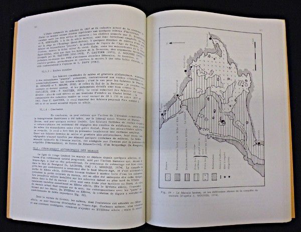Contribution à l'étude de la transgression flandrienne en Basse Loire - Apport de l'archéologie - Etudes préhistoriques et protohistoriques des pays de la Loire, vol. 5 (1977)