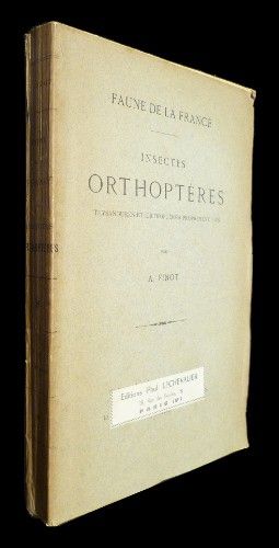 Insectes orthoptères : thysanoures et orthptères proprement dits