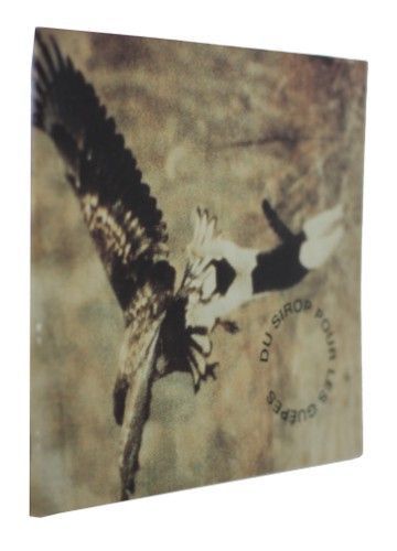 Du sirop pour les guêpes : Michel Blazy, Marion Lachaise, Bertrand Lamarche