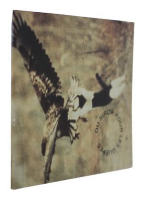 Du sirop pour les guêpes : Michel Blazy, Marion Lachaise, Bertrand Lamarche