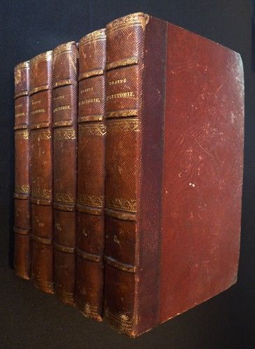 Traité d'anatomie descriptive (5 volumes)