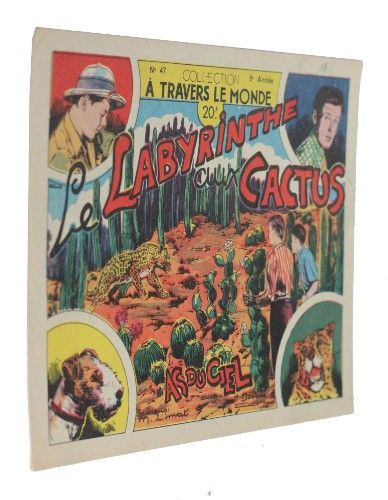 Le labyrinthe aux cactus