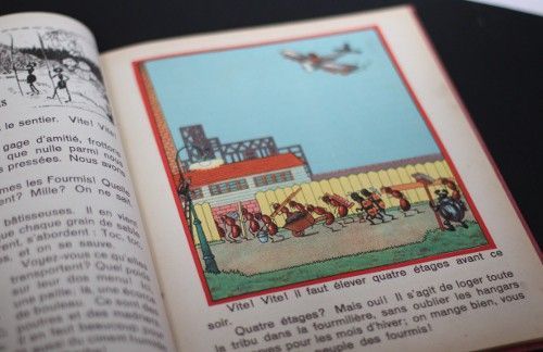 Les aventures de Topsy - Les animaux racontent... - Flon-Flon-la-Mouche