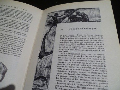 Le coeur de l'enfant dans les maladies typhoïdes (Contribution apportée par l'étude de l'E.C.G.)