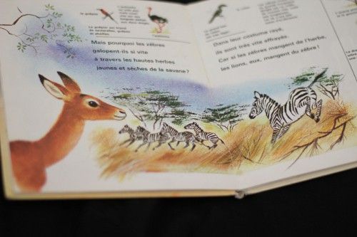 La petite gazelle et les animaux de la savane