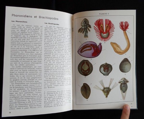 Atlas de zoologie (tomes 1 et 2)