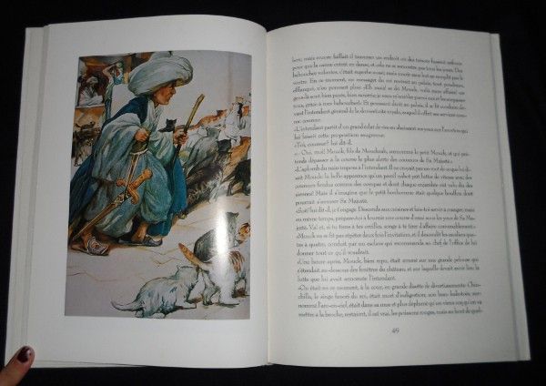 Le nain au long nez et autres contes des pays d'Allemagne