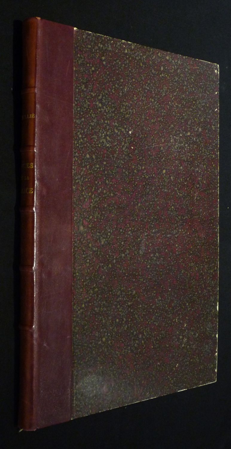 Fastes de la France, ou Tableaux chronologiques, synchroniques et géographiques de l'Histoire de France, depuis l'établissement des Francs jusqu'à nos jours