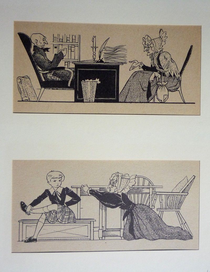 Illustrations de Manon Iessel