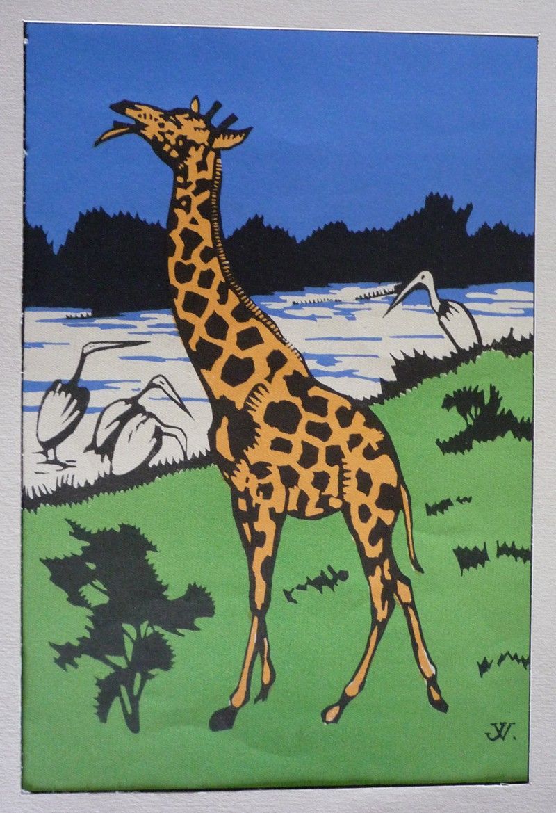 Illustration : girafe