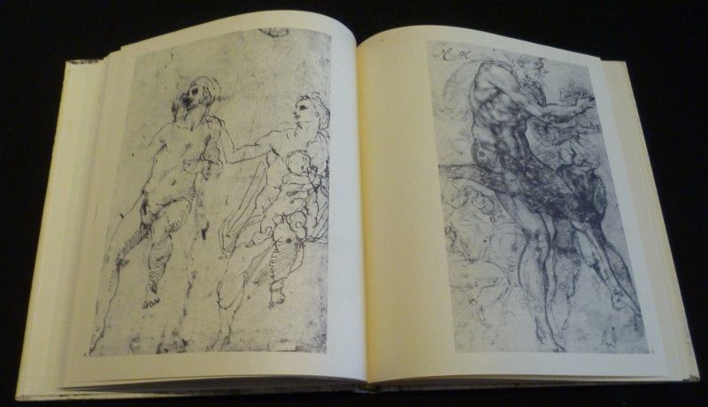 Michel-Ange, sonnets