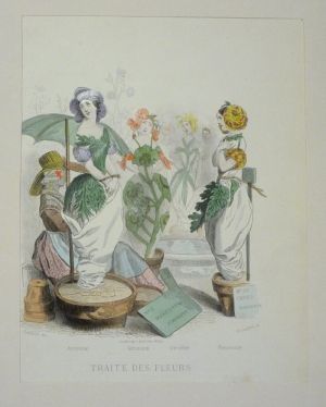 Gravure de Grandville : Traite des fleurs (Les Fleurs animées)