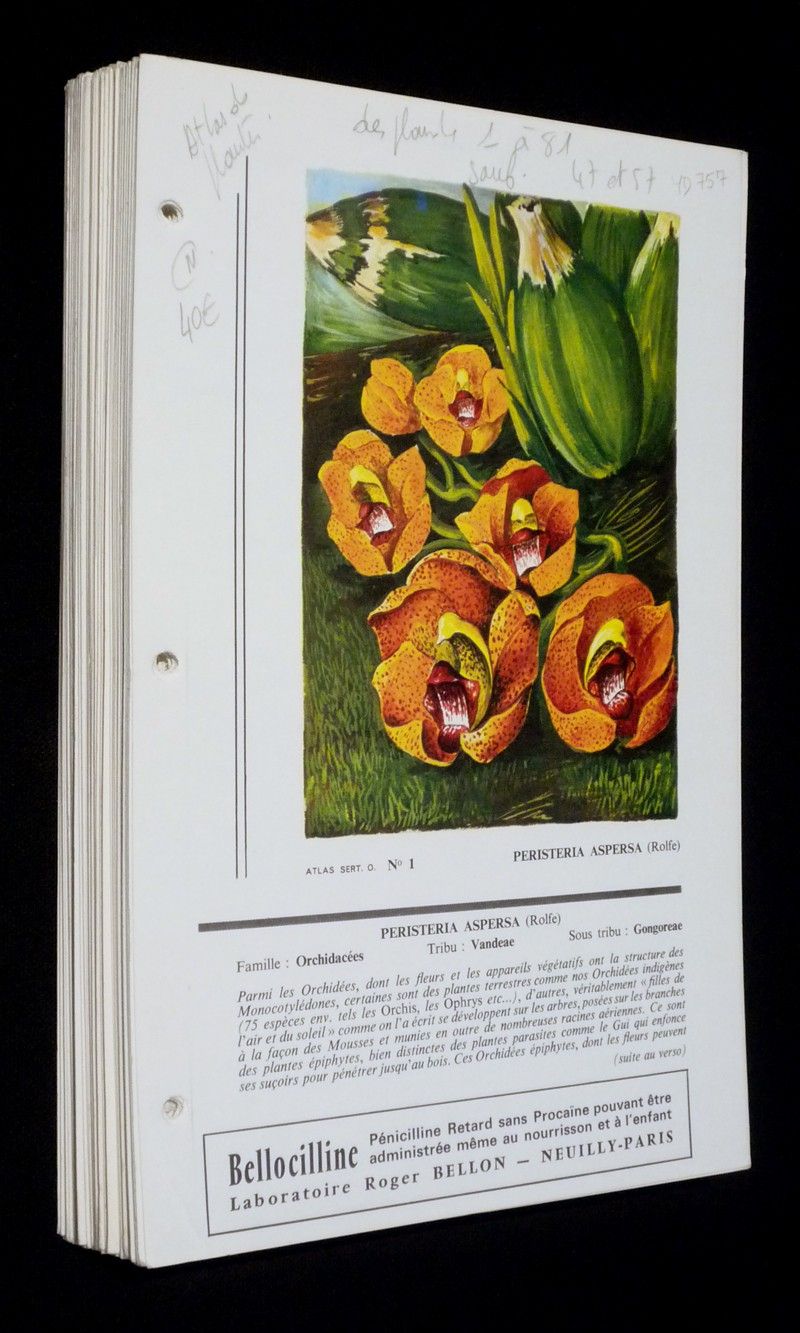 Atlas des orchidées (Laboratoires Bellon, Dausse, Roussel) (79 fiches)