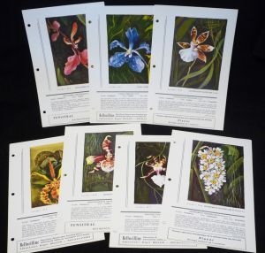Atlas des orchidées (Laboratoires Bellon, Dausse, Roussel) (79 fiches)
