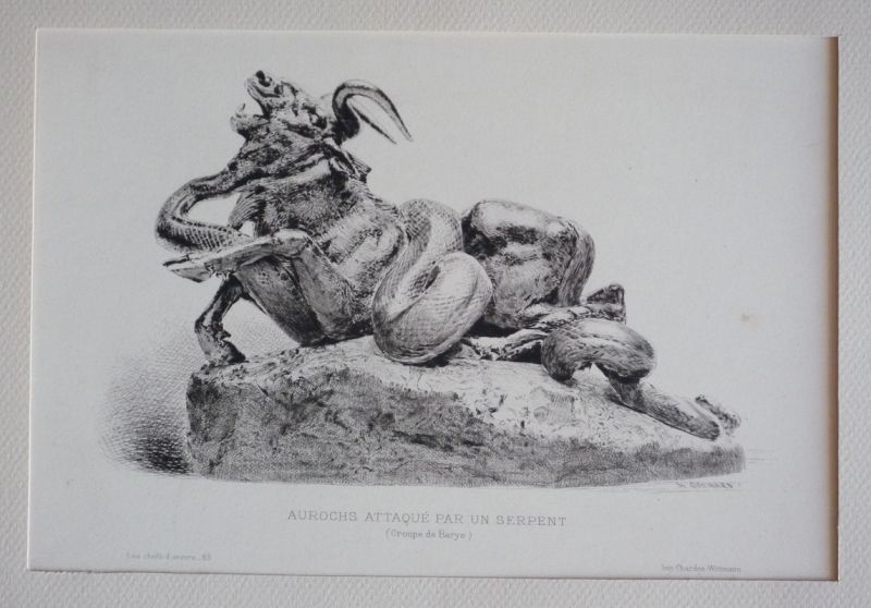 Gravure de Guérard d'après Barye : Aurochs attaqué par un serpent