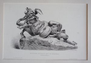Gravure de Guérard d'après Barye : Aurochs attaqué par un serpent