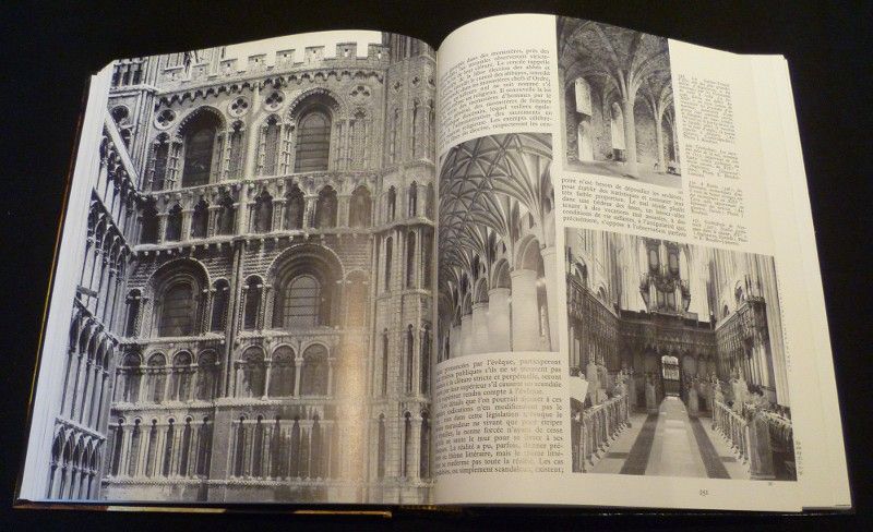 Les Ordres Religieux, la vie et l'art (tome I) 