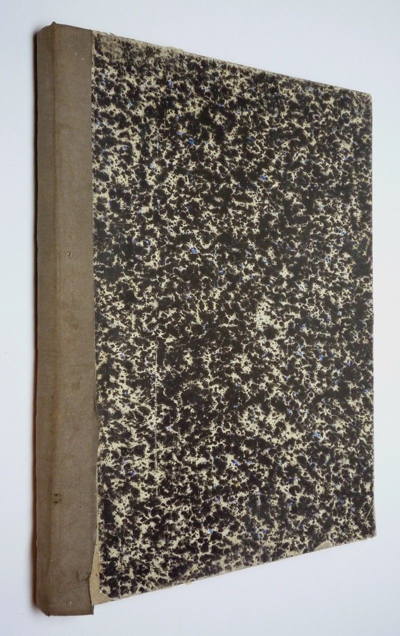 Le Concile oecuménique de 1869-1870 illustré