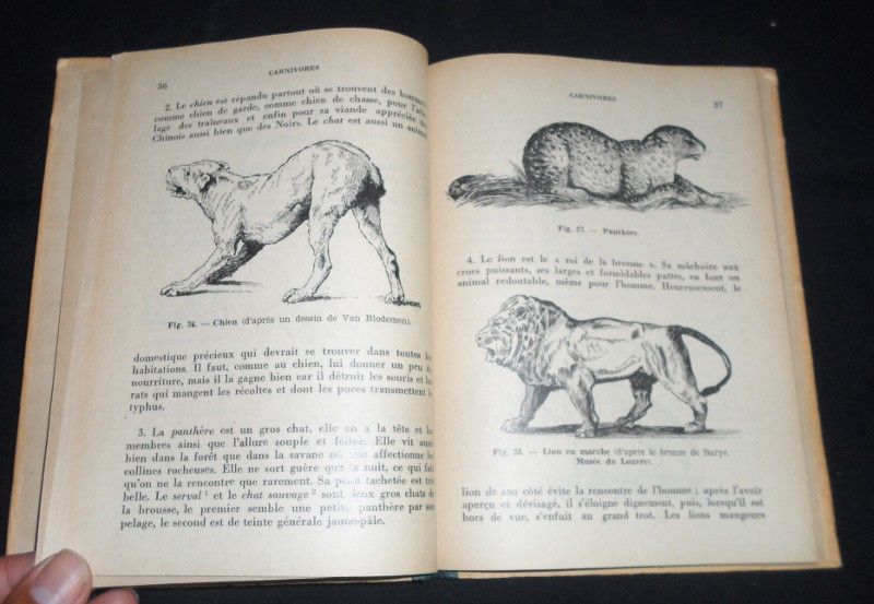 Zoologie africaine