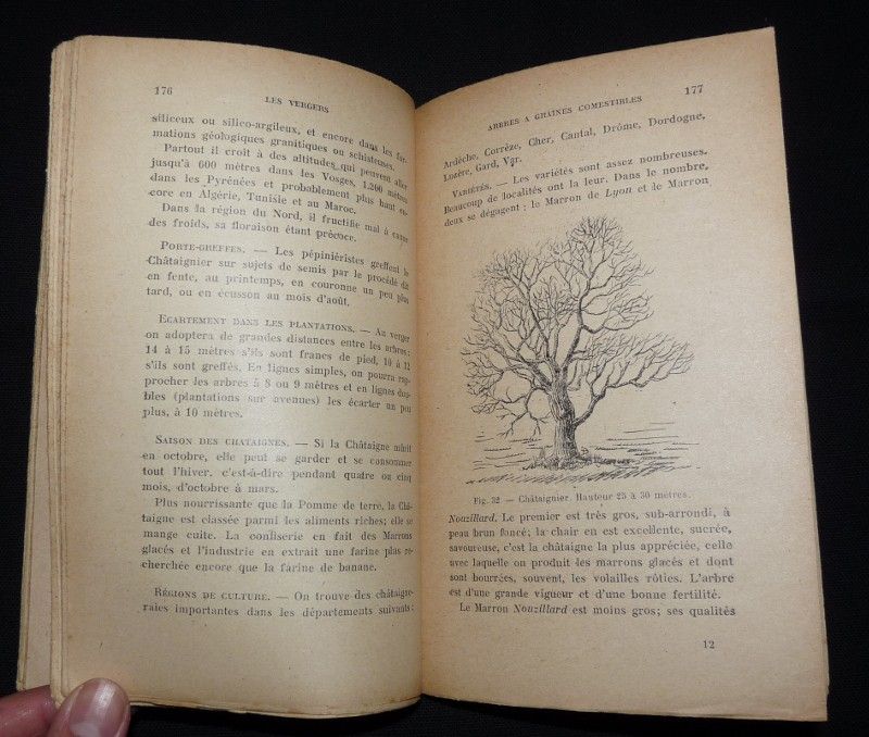 Les vergers, production ménagère et commerciale des fruits en plein vent