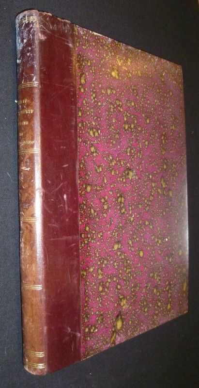 Marie-Antoinette victime de la Révolution