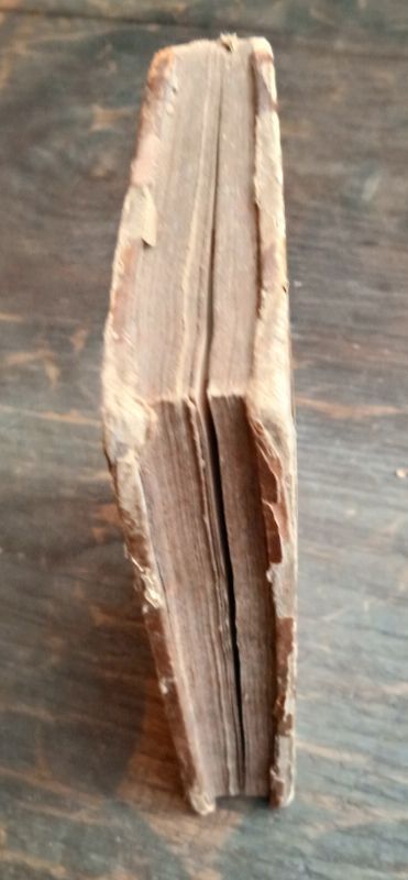 La Pucelle d'Orléans (Tomes 1 et 2)