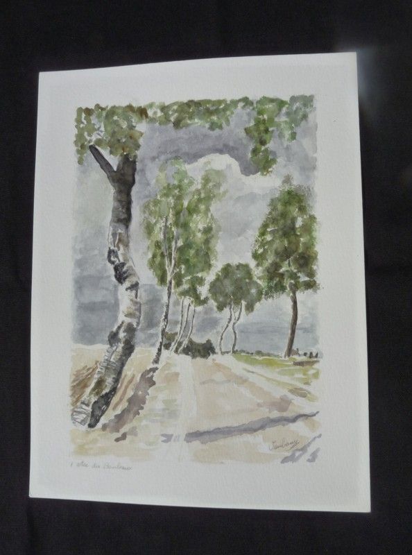 Aquarelle originale de Vaubourg : L'allée des bouleaux