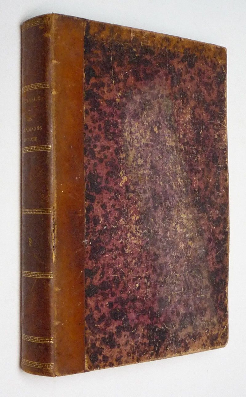 Les Compagnons du glaive (Tome II)