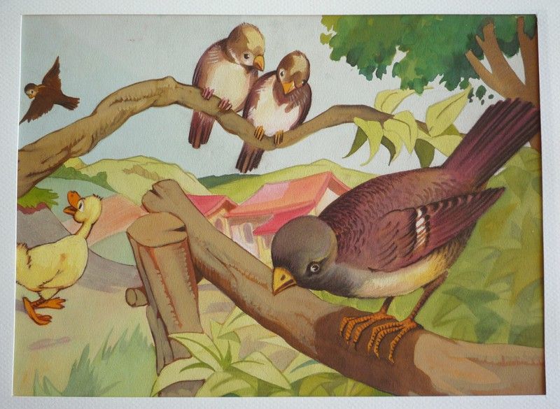 Dessin original de Dupuich pour l'album 