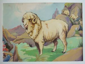 Dessin original de Dupuich pour l'album "A la ferme" : Mouton