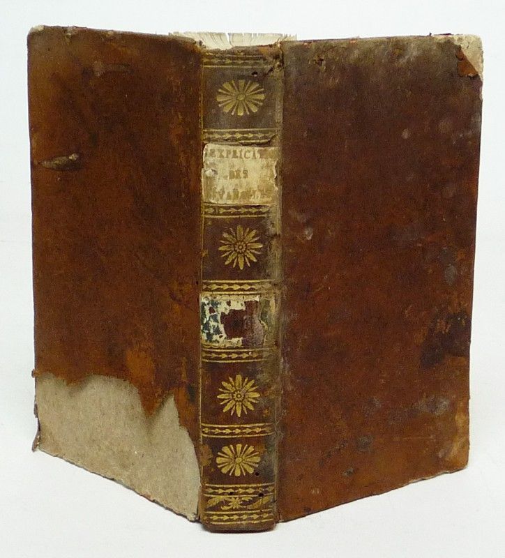 Explication des évangiles des dimanches, et de quelques-unes des principales fêtes de l'année (Tome 3)