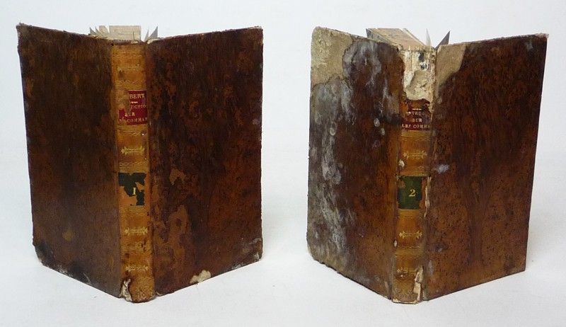 Instructions courtes et familières pour tous les dimanches de l'année, en faveur des pauvres, et particulièrement des gens de la campagne (Tomes 1 et 2)